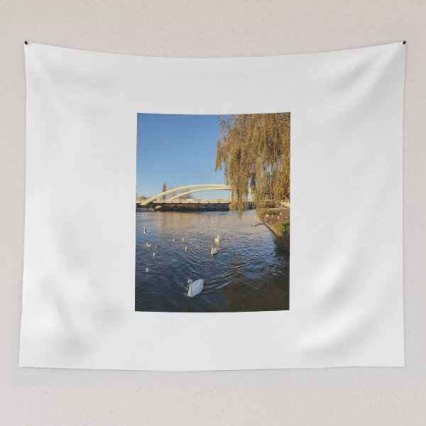Item preview, Walton Bridge Swans designed and sold by MarkGoughImages.