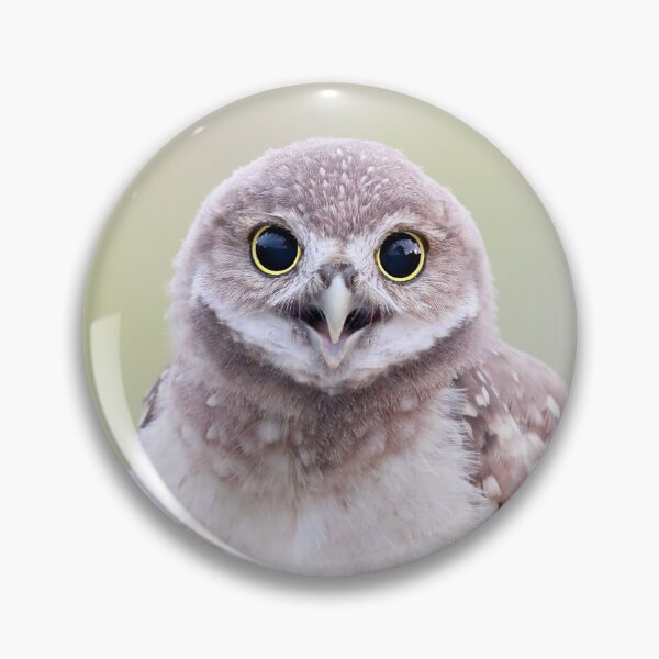 Item preview, Burrowing Owlet designed and sold by mlorenz.