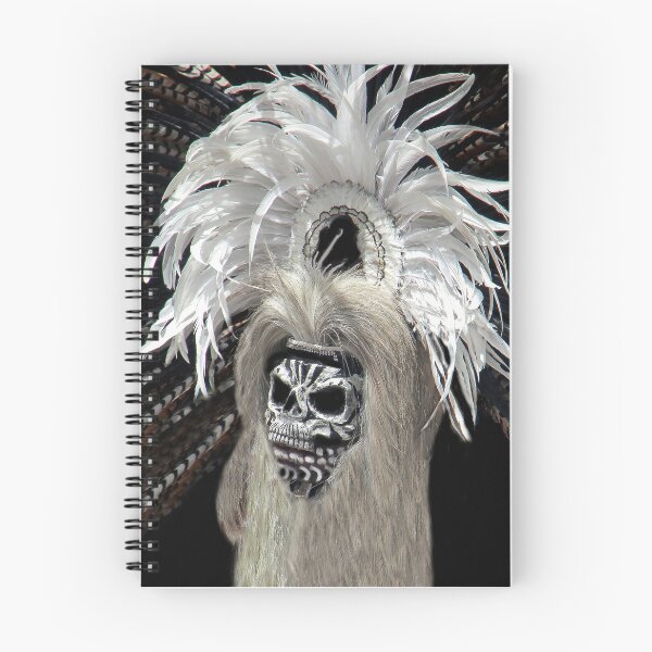 Item preview, Native American Pow Wow Headdress designed and sold by heatherfriedman.