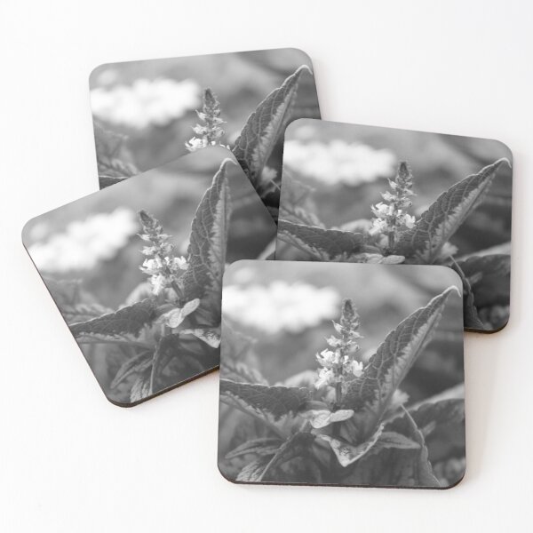 Item preview, Floral study designed and sold by Freedyart.
