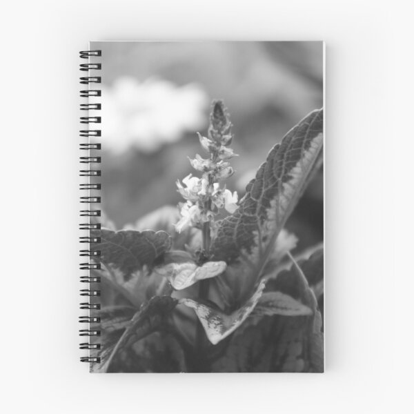 Item preview, Floral study designed and sold by Freedyart.