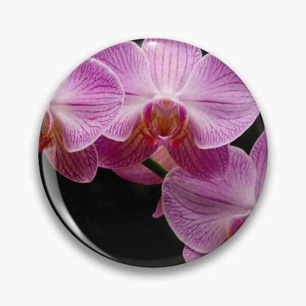 Item preview, Pink Orchids designed and sold by Donna Fullerton.