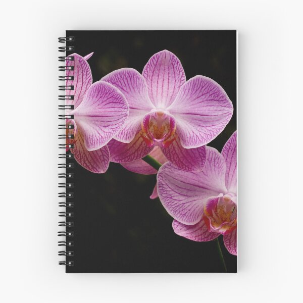 Item preview, Pink Orchids designed and sold by Donna Fullerton.