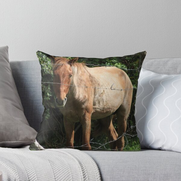 Item preview, Brown Horse in a Fence designed and sold by rhamm.