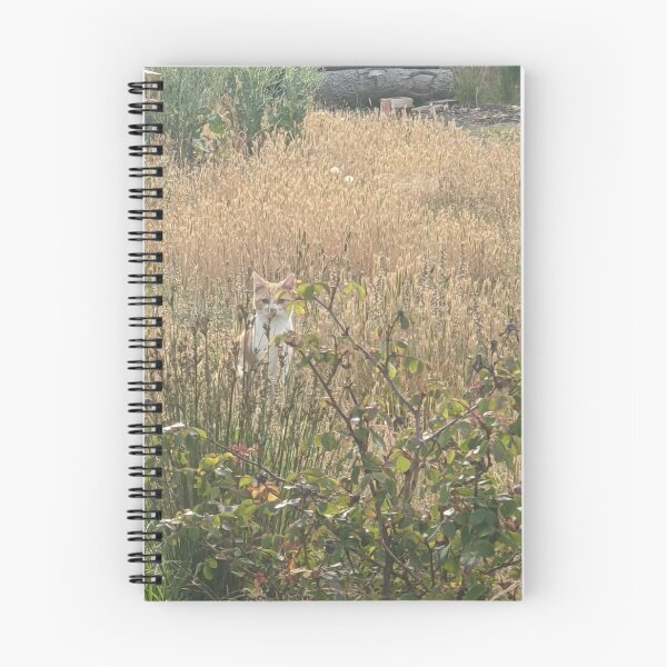 Item preview, Purrrrfect Hiding Place designed and sold by JeniBlynn.