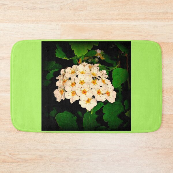 Item preview, Positively Petite designed and sold by Vince Scaglione.