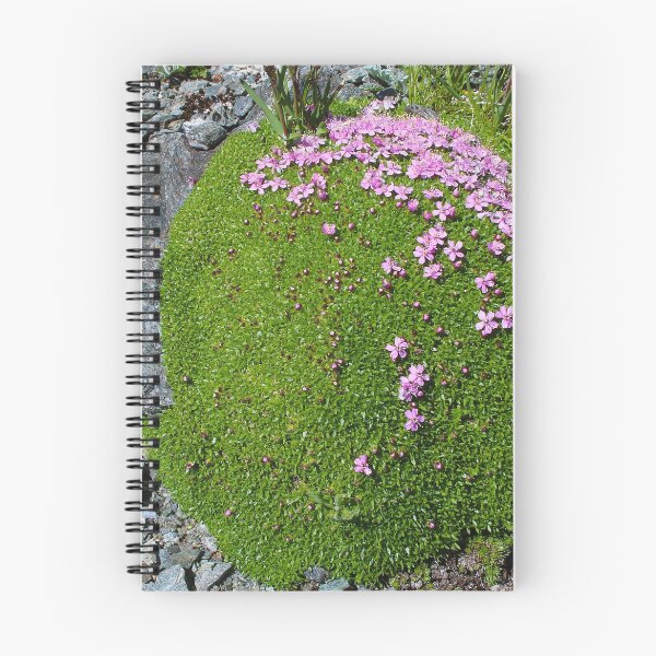 Item preview, Alpine Rock Jasmine designed and sold by Organicvision.