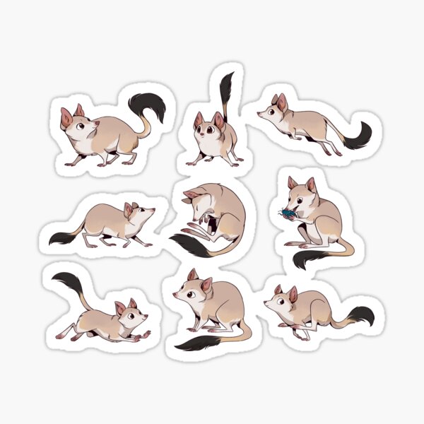 Adorable Kowaris by Anneliese Mak Sticker