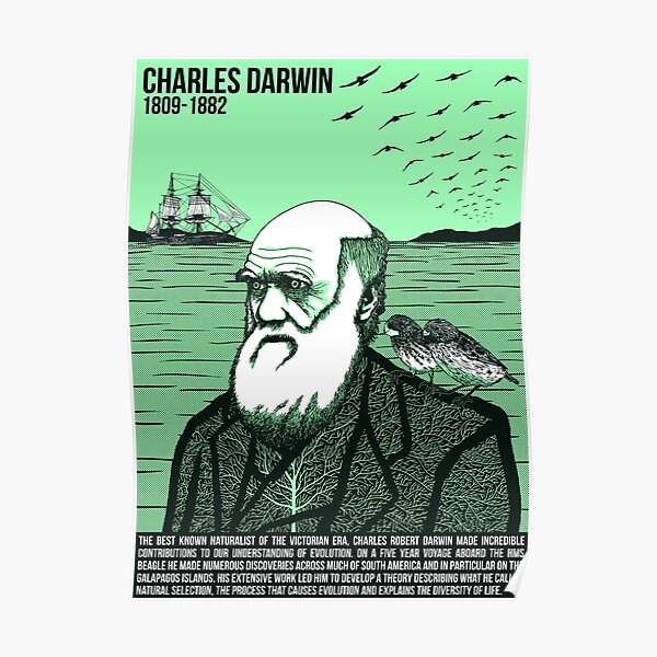Illustrating Great Minds - Charles Darwin Poster