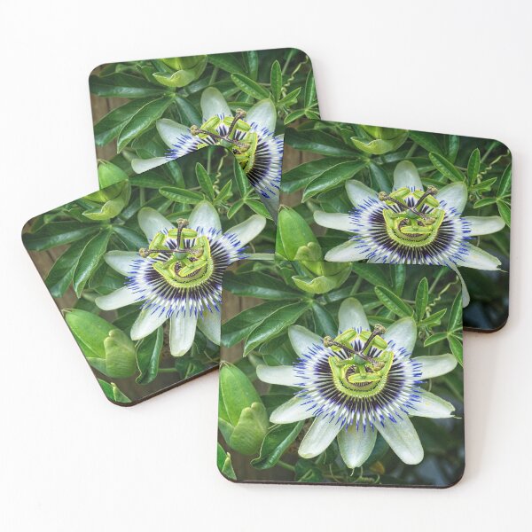 Item preview, Passionfruit flower designed and sold by Fran Woods.