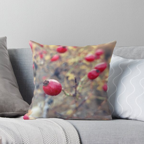 Item preview, Ripe Red Wild Rose Hips designed and sold by Reado71.
