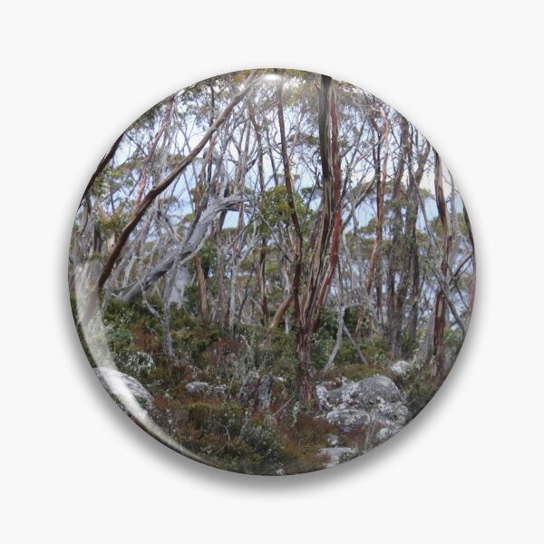 Item preview, kunanyi (Mt Wellington) bush scene near the top designed and sold by Gaylene Norton.
