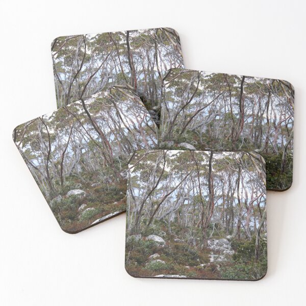 Item preview, kunanyi (Mt Wellington) bush scene near the top designed and sold by Gaylene Norton.