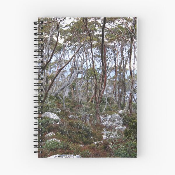 Item preview, kunanyi (Mt Wellington) bush scene near the top designed and sold by Gaylene Norton.
