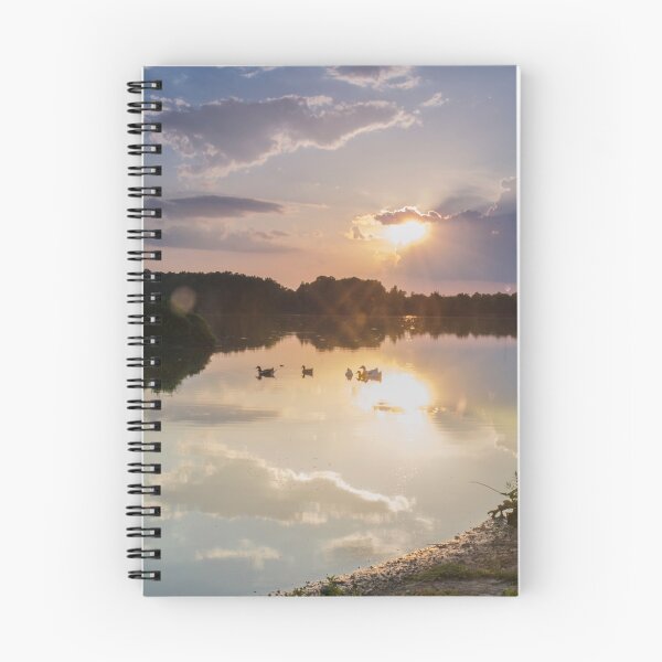 Item preview, Sun Flared designed and sold by ctellis156.