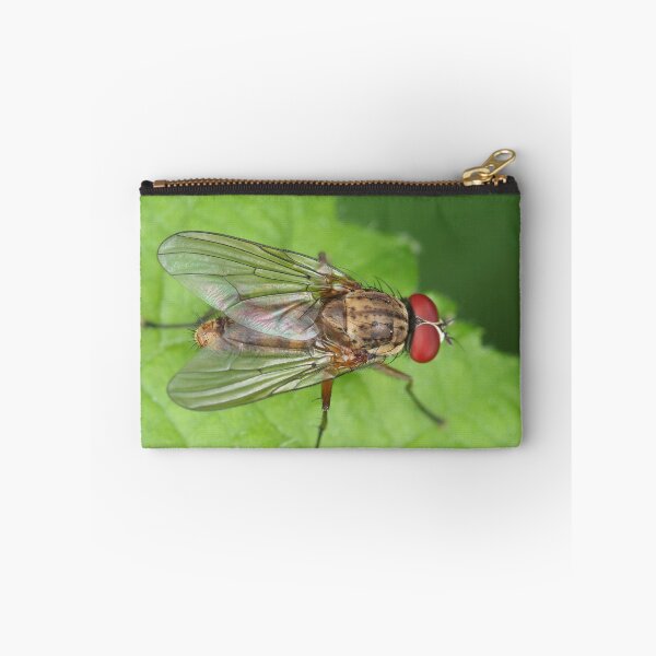 Item preview, Muscidae fly - insect macro designed and sold by SDym Photography.