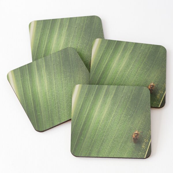 Artikelvorschau, Heart insect entworfen und verkauft von momentcaptures.
