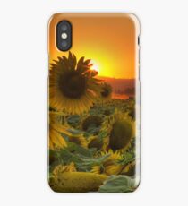 Sunflower Sun Rays iPhone Case