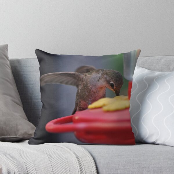 Item preview, BABY ANNA'S HUMMINGBIRD AT FEEDER designed and sold by JAYMILO.