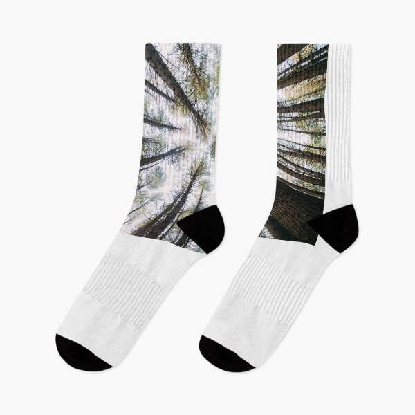 Item preview, Looking Up - Sugar Pine Walk, Laurel Hill, NSW designed and sold by nicgfx.