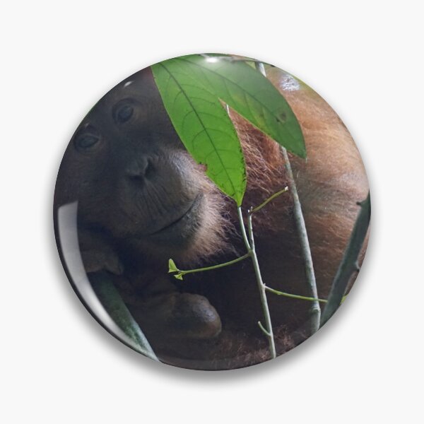 Item preview, Orangutan in Sumatra designed and sold by charlienelson.
