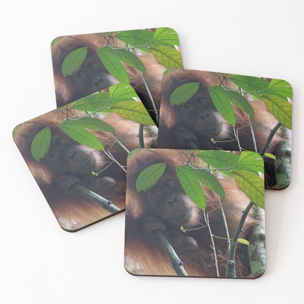 Item preview, Orangutan in Sumatra designed and sold by charlienelson.