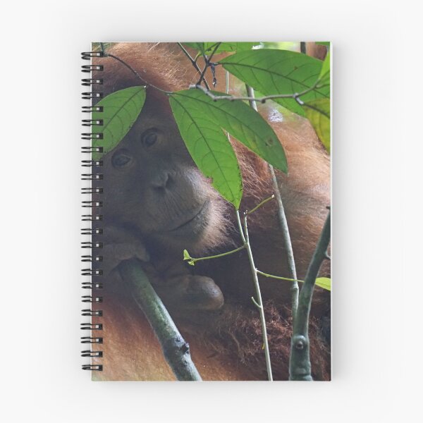 Item preview, Orangutan in Sumatra designed and sold by charlienelson.