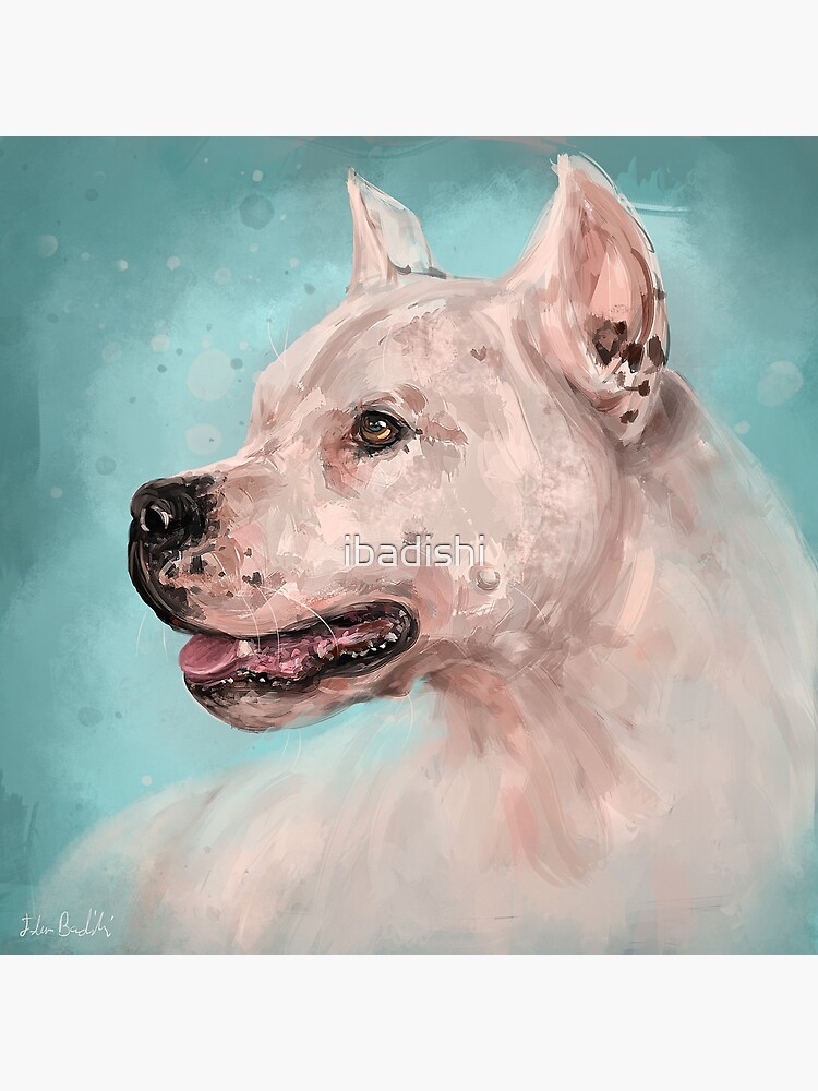 Argentinian Dog / Dogo Argentino portrait Poster for Sale by