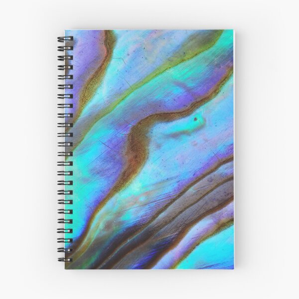 Item preview, Paua Abalone Shell designed and sold by Laurasdesign83.