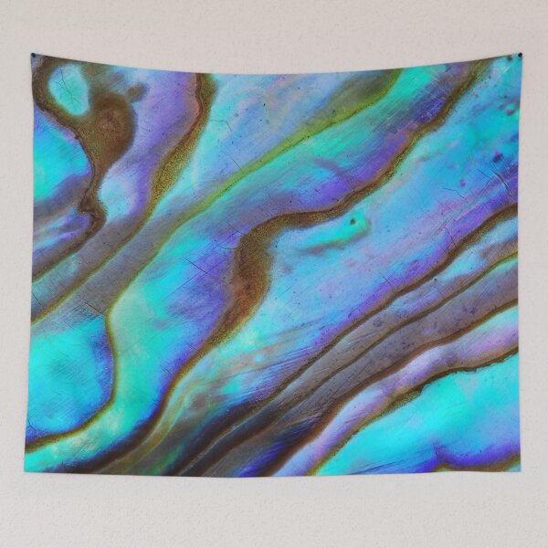 Item preview, Paua Abalone Shell designed and sold by Laurasdesign83.