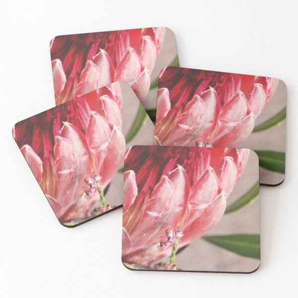 Item preview, Pink Protea designed and sold by Elsabe Smith.