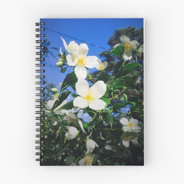 Item preview, Flower designed and sold by kenzappell.