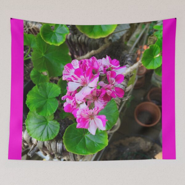 Item preview, Geranium designed and sold by kenzappell.