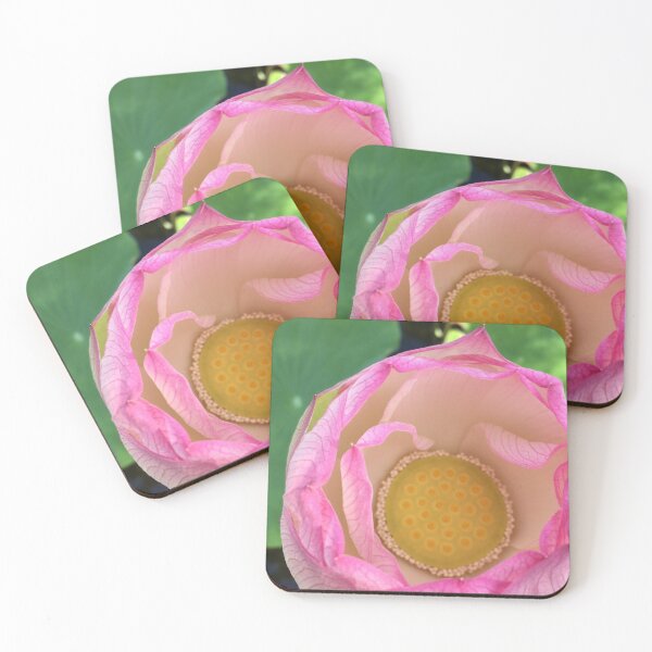 Item preview, Beautiful Lotus Flower Bud Opening Photographic Print designed and sold by ShellyD1055.