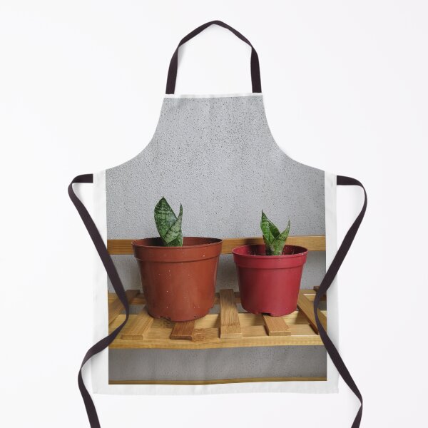 Item preview, Baby Snake Plant - Baby Sansevieria designed and sold by OonaLo.