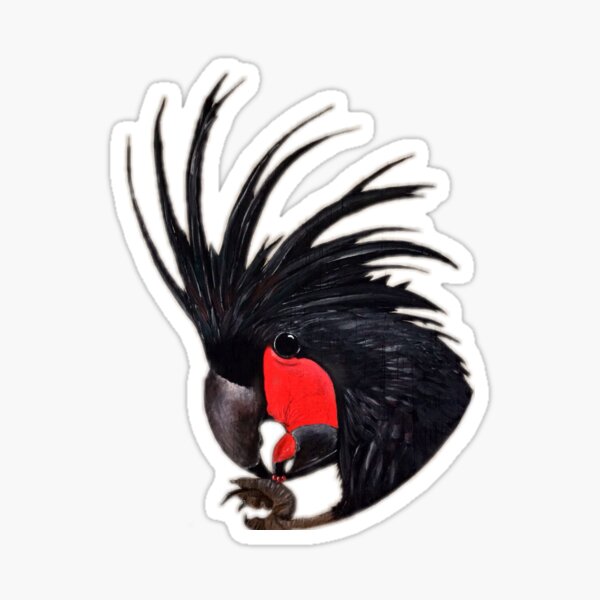 Item preview, Palm Cockatoo designed and sold by tavartist.