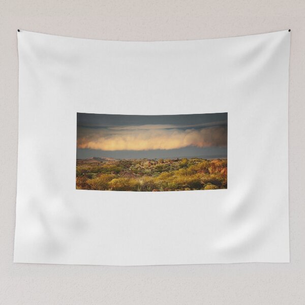 Item preview, Sunlit cloud front, Sturt NP designed and sold by Kevin McGennan.