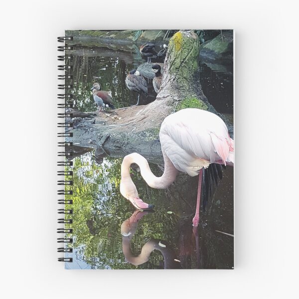 Item preview, Flamingo Refletion designed and sold by Elsabe Smith.