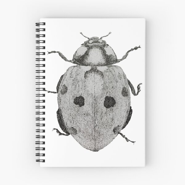 Item preview, Dotwork Ladybug Art Print designed and sold by DrawWithSacha.