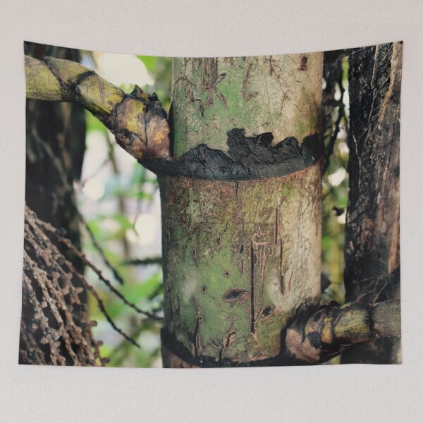 Item preview, Palm Trunk designed and sold by umeimages.