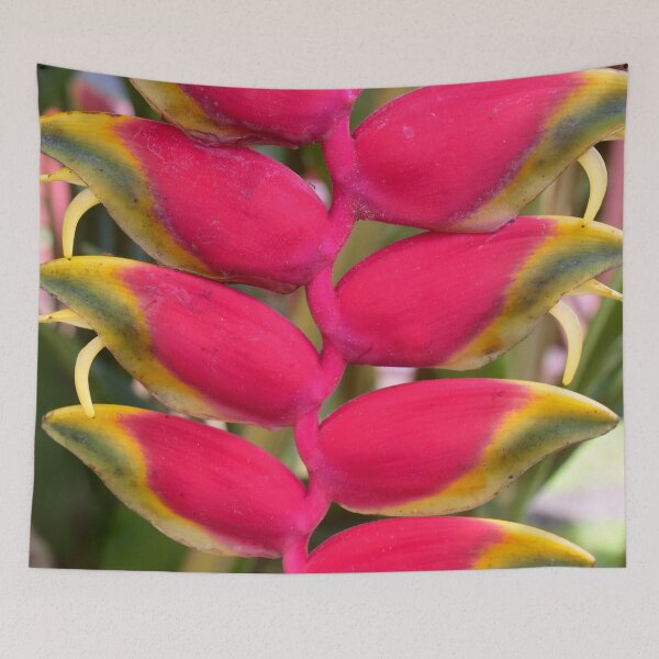 Item preview, Tropical Curves designed and sold by umeimages.