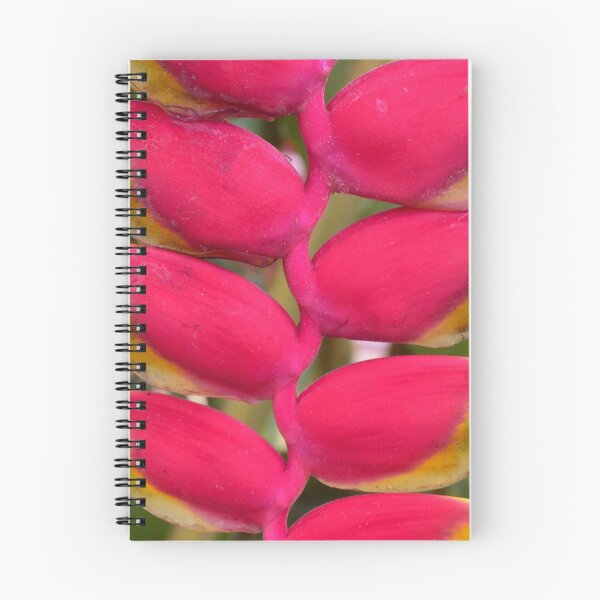 Item preview, Tropical Curves designed and sold by umeimages.