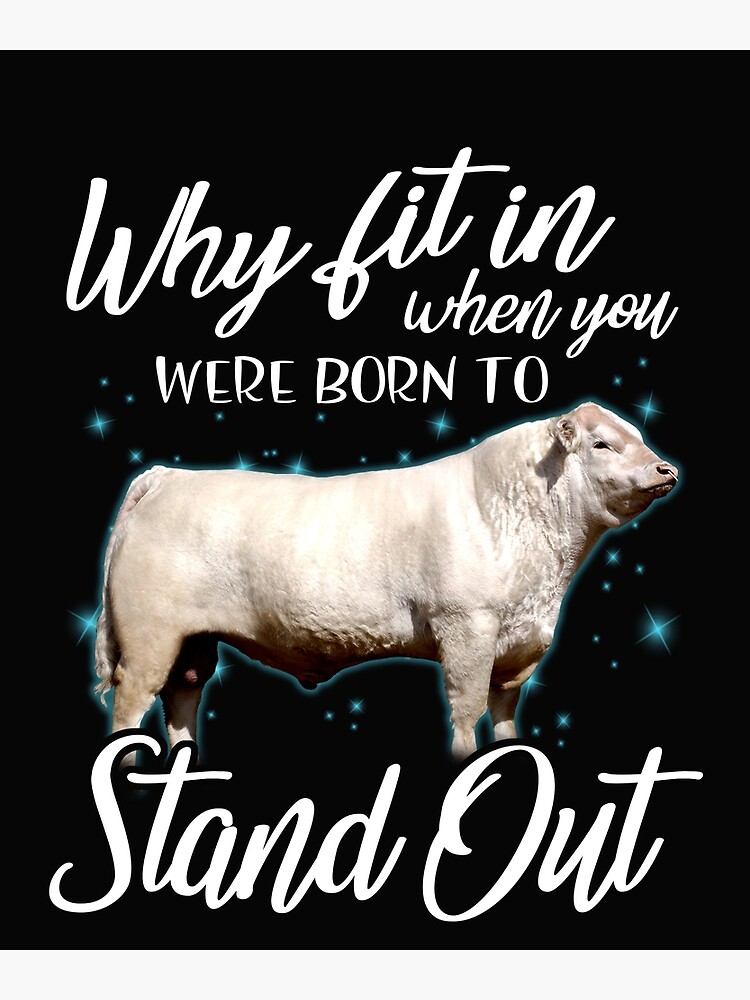 Why Fit In When You Were Born To Stand Out Cattle T-Shirt Why Fit In When You Were Born To Stand Out Cattle T-Shirt