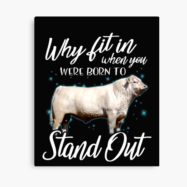 Item preview, Why fit in when you were born to stand out Charolais cattle designed and sold by Titmit.