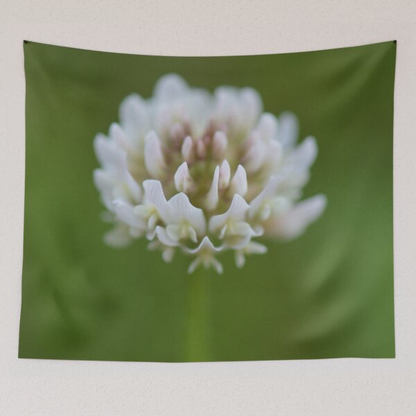 Item preview, White Wildflower designed and sold by Kristen Lucero.