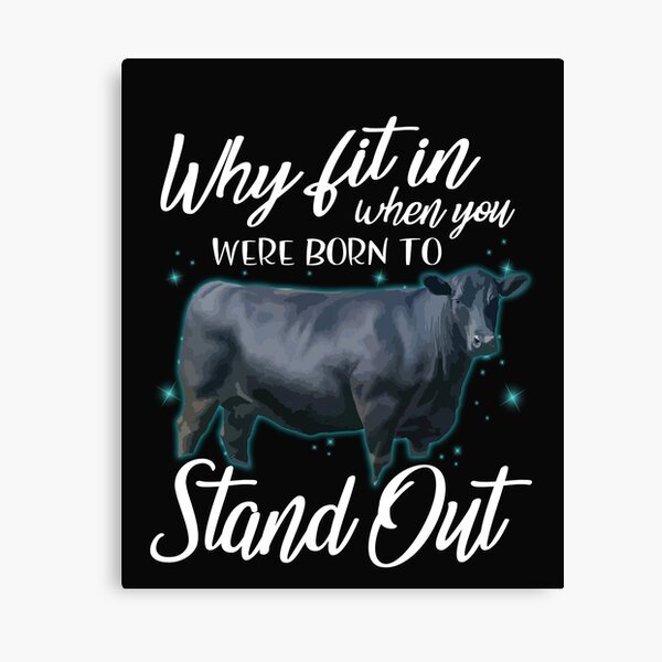 Item preview, Why fit in when you were born to stand out Angus cattle designed and sold by Titmit.