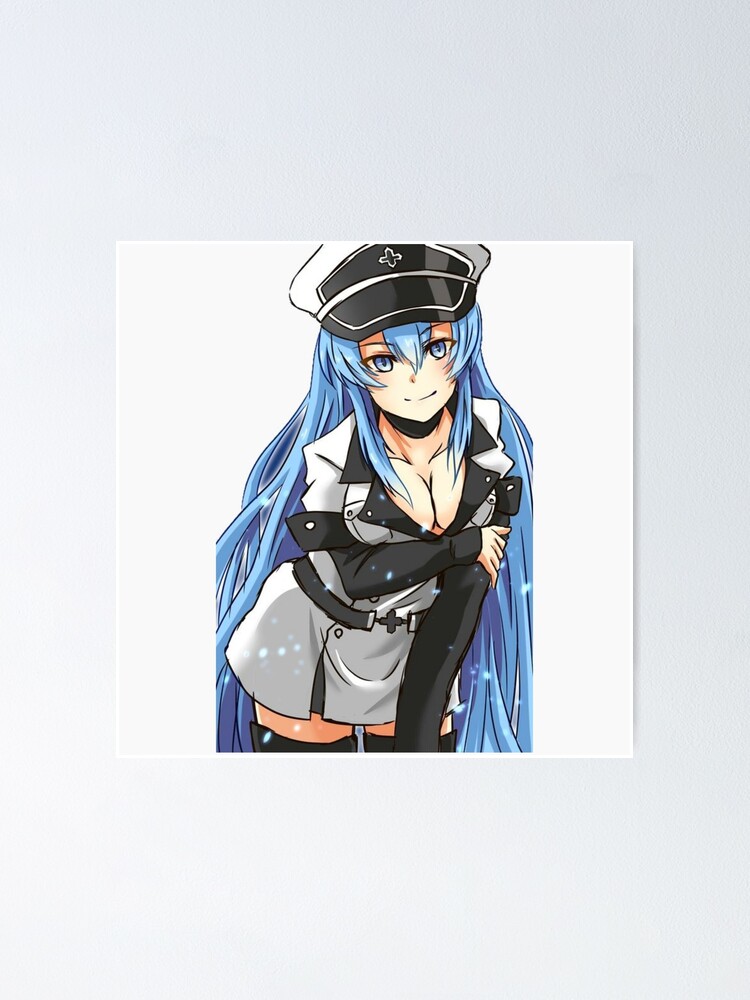 Akame Ga Kill Esdeath' Poster, picture, metal print, paint by