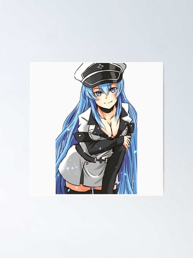 Akame ga kill The Anime With Esdeath in it 