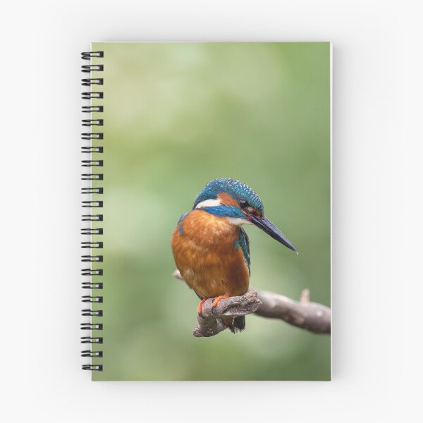 Item preview, Surveying  designed and sold by iaintall.