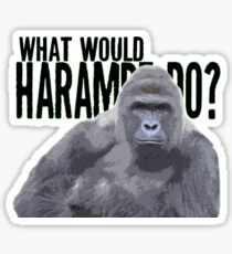 What would Harambe do? Sticker